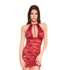 Sangria Lace Slip w/ Garters